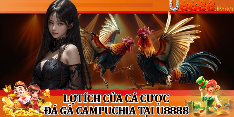 Lợi Ích Của Cá Cược Đá Gà Campuchia Tại U8888