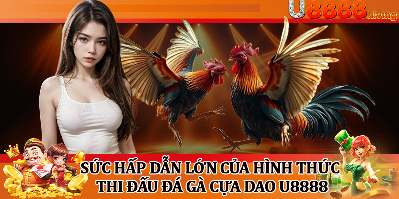 Sức Hấp Dẫn Lớn Của Hình Thức Thi Đấu Đá Gà Cựa Dao U8888