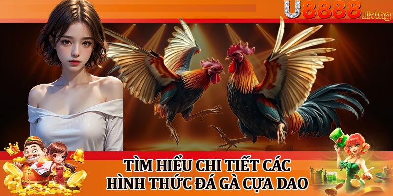 Tìm Hiểu Chi Tiết Các Hình Thức Đá Gà Cựa Dao