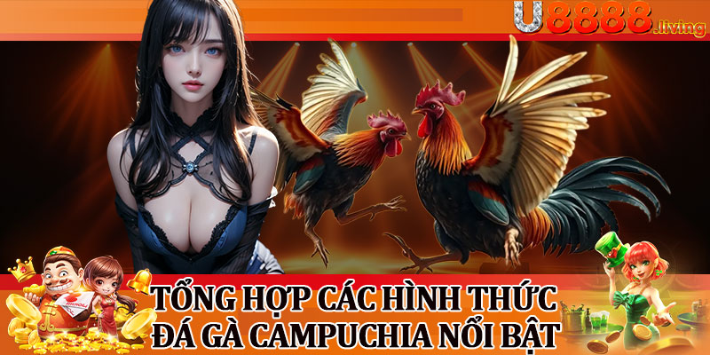 Tổng Hợp Các Hình Thức Đá Gà Campuchia Nổi Bật
