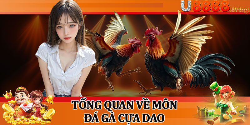 Tổng Quan Về Môn Đá Gà Cựa Dao