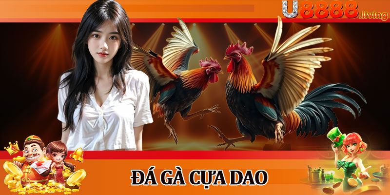 Đá Gà Cựa Dao